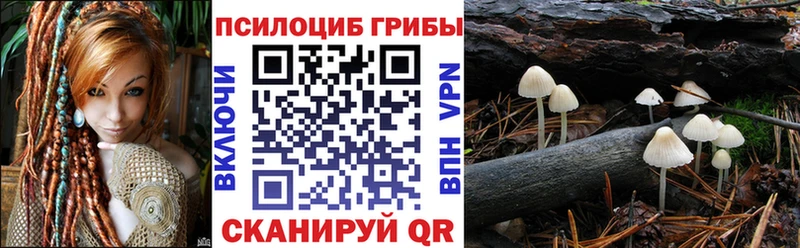 Псилоцибиновые грибы прущие грибы  Купить  Грязи 